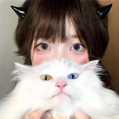 公牛